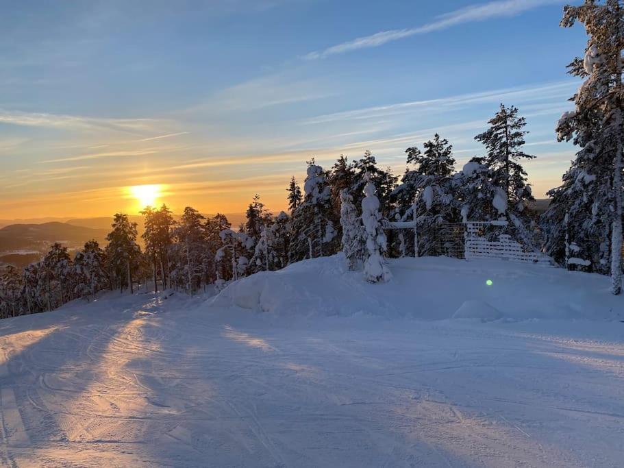 Modern Stuga Med Ski Lodge Kaensla Järvsö Kültér fotó